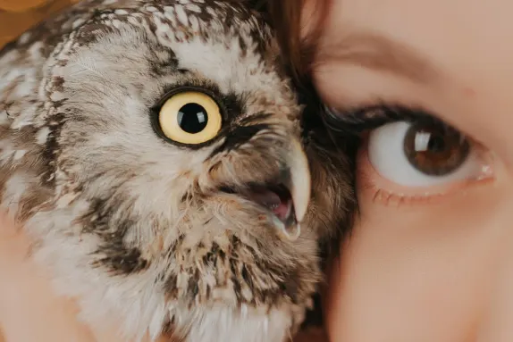 Kazino Loco Win Atbalsts